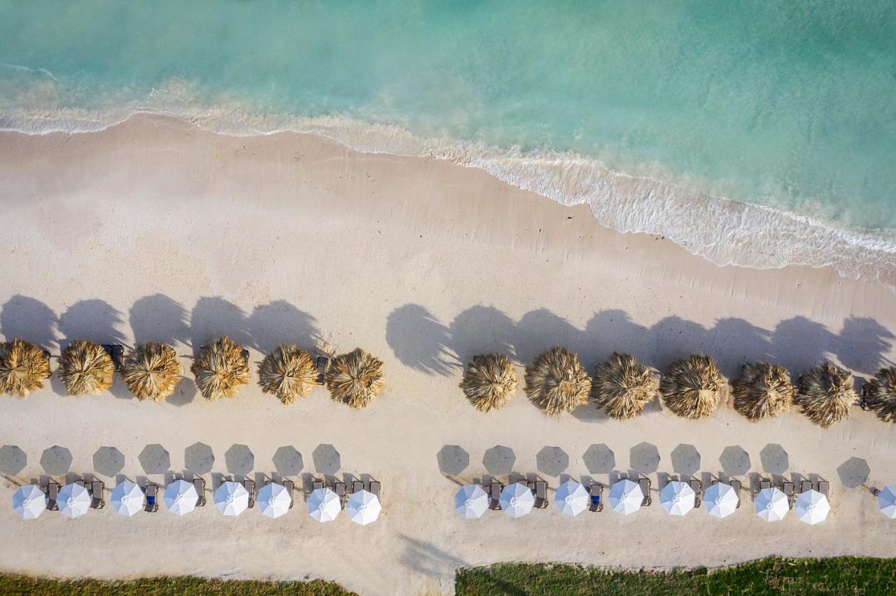 Ocean Eden Bay (Adults Only) 호텔 Spring Rises 외부 사진 Aerial view of the beach at Atlantis Paradise Island